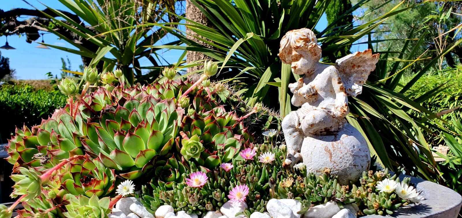 Jardin
